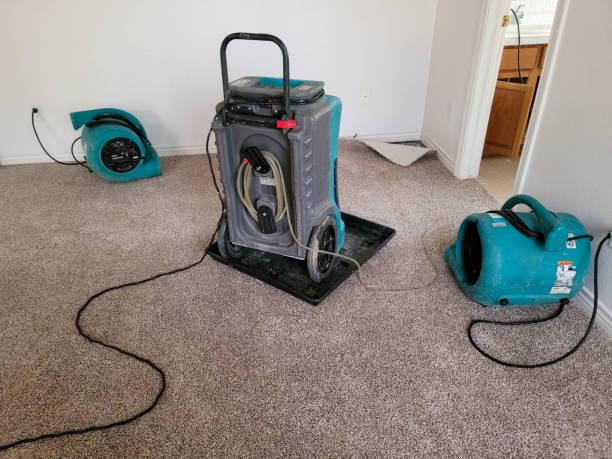 Best Carpet water damage restoration  in Ross, CA