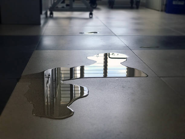 Best 24-hour water damage restoration  in Ross, CA