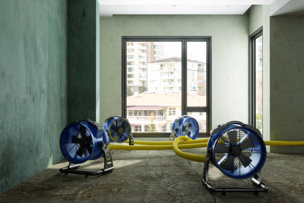 Best Water damage repair service  in Ross, CA