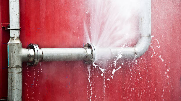 Best Water damage restoration near me  in Ross, CA